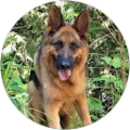 John Palmer Avatar