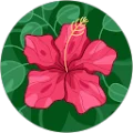 Keelyn Yost Avatar